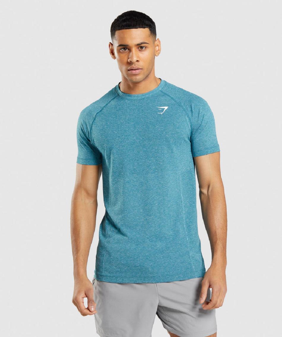 Gymshark Vital Light Seamless Muške T Shirts Tirkizne | HR 2461YXF